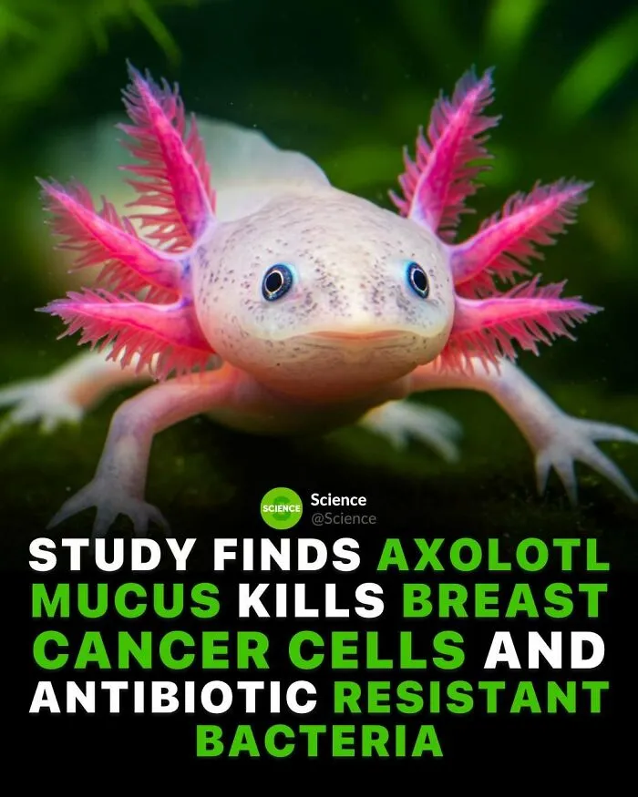 50 Awesome Facts For Those Who Want To Learn Something New