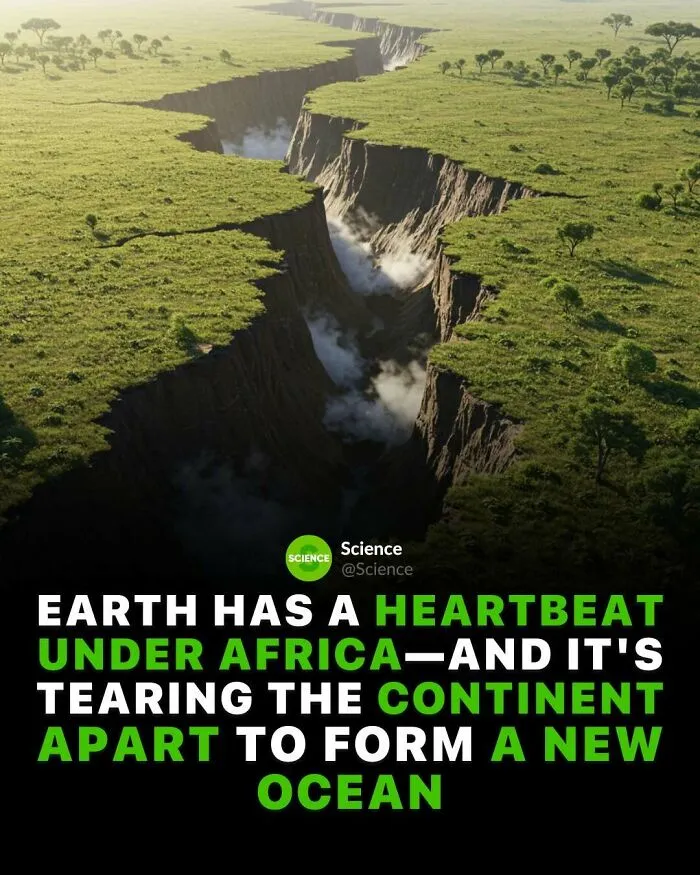 Massive rift in Africa shows amazing science and world facts about Earth’s shifting continents and new ocean formation.