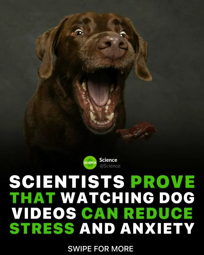 50 Awesome Facts For Those Who Want To Learn Something New