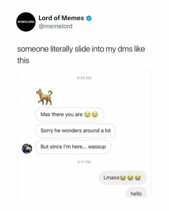 Screenshot of a humorous meme showing a funny direct message exchange about a dog named Max to break doomscrolling cycle.