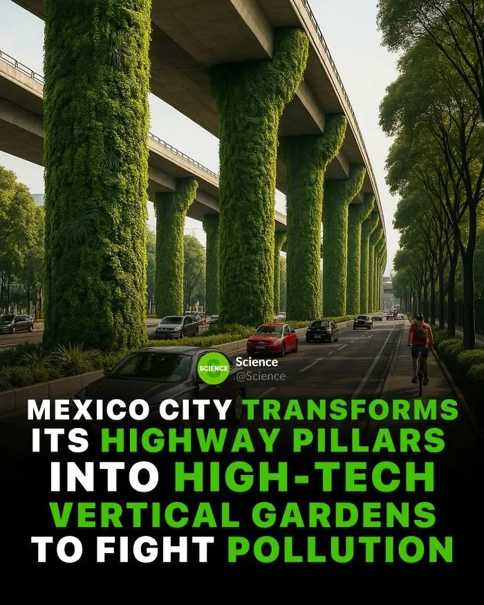 50 Awesome Facts For Those Who Want To Learn Something New