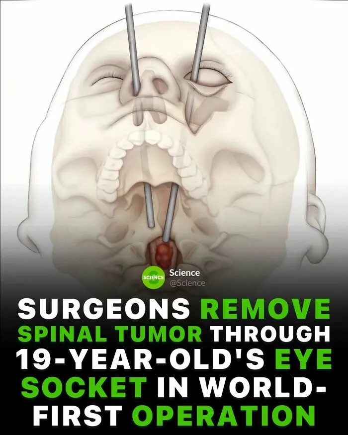 50 Awesome Facts For Those Who Want To Learn Something New
