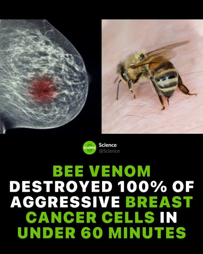 50 Awesome Facts For Those Who Want To Learn Something New