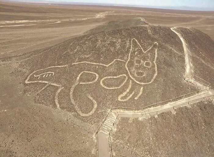 Figura de geoglifo de un gato en el desierto, una de las 50 fotos antiguas con contexto histórico poco conocido.