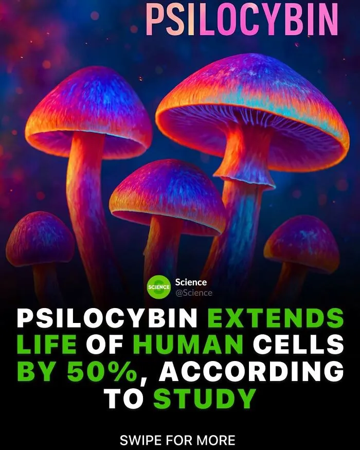 50 Awesome Facts For Those Who Want To Learn Something New