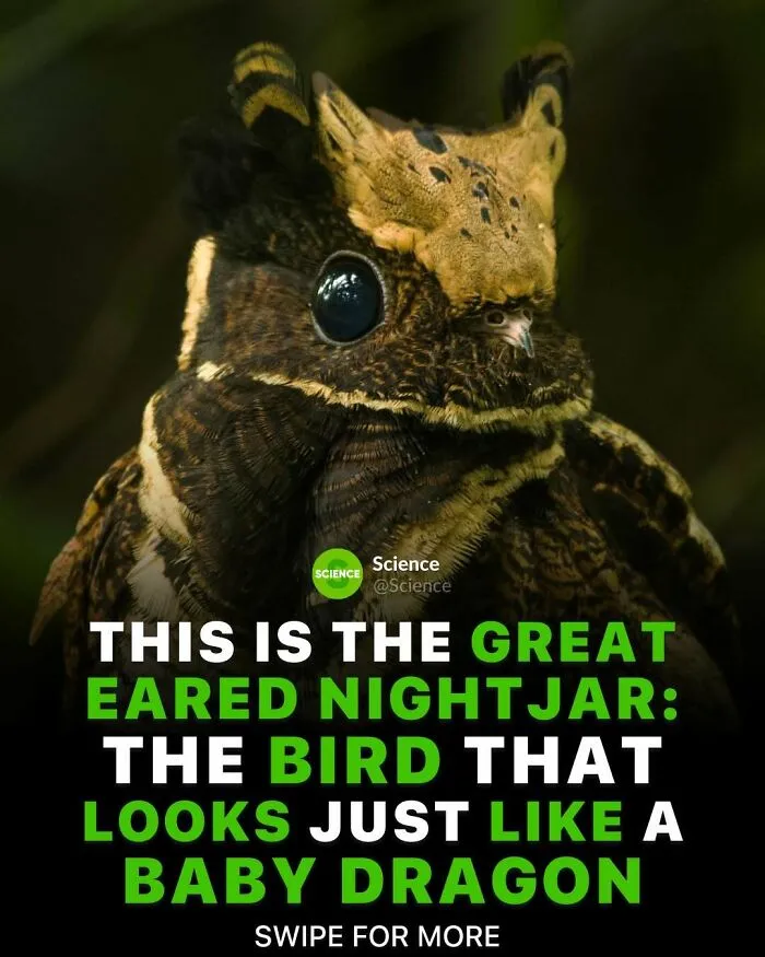 50 Awesome Facts For Those Who Want To Learn Something New