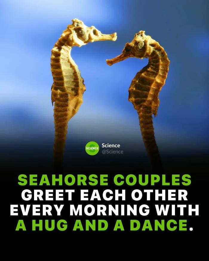 50 Awesome Facts For Those Who Want To Learn Something New