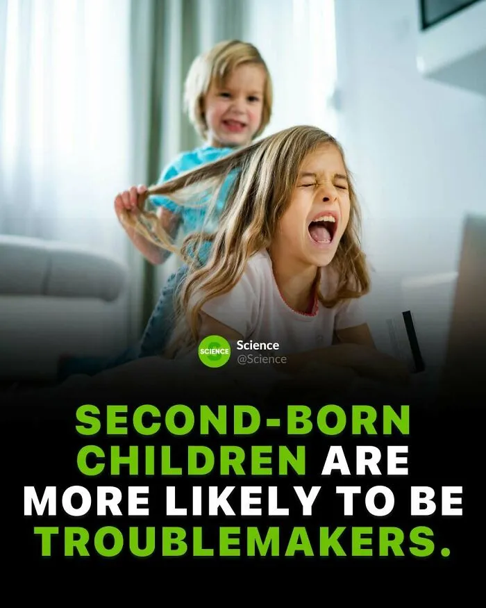 Two children playfully interacting with one pulling the other's hair, illustrating cool and interesting facts about the world and science.