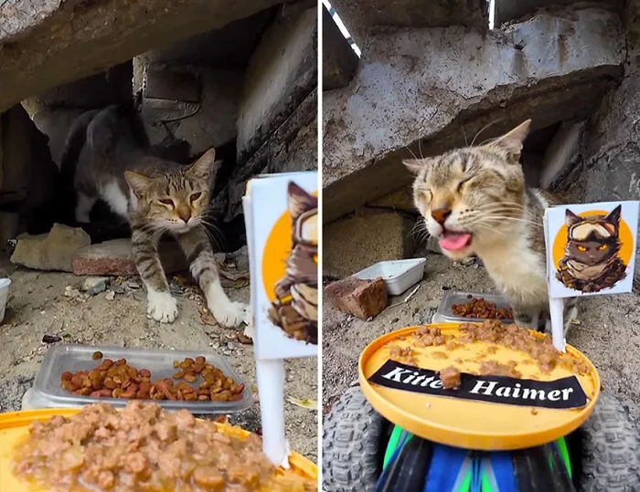 This Guy Has A Clever Way Of Feeding Strays That Might Melt Your Heart (50 Pics)