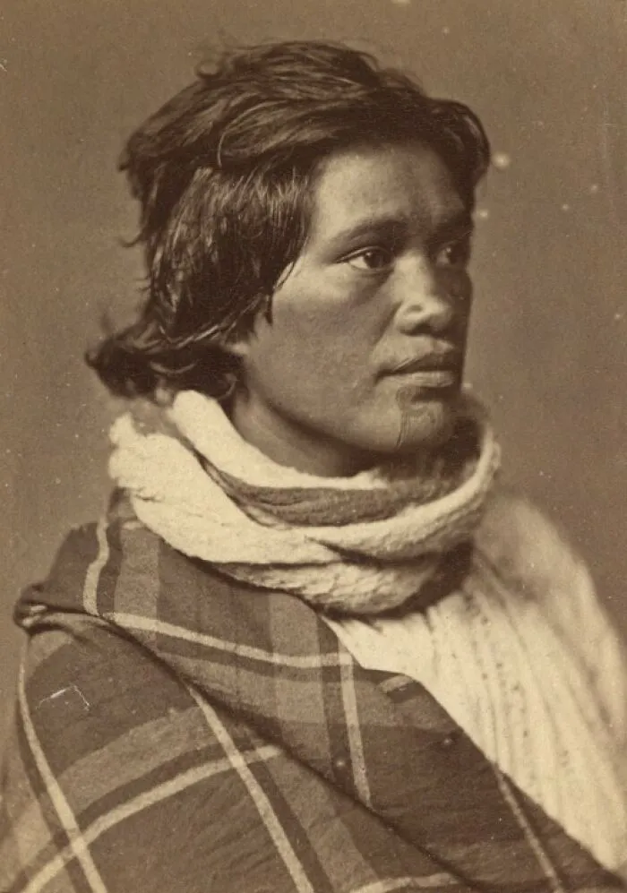 Femme Maori (Maori Woman) With Tattoo On Chin