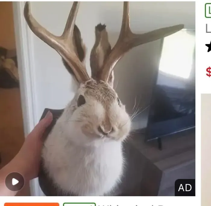 Jackalope Mantle Piece