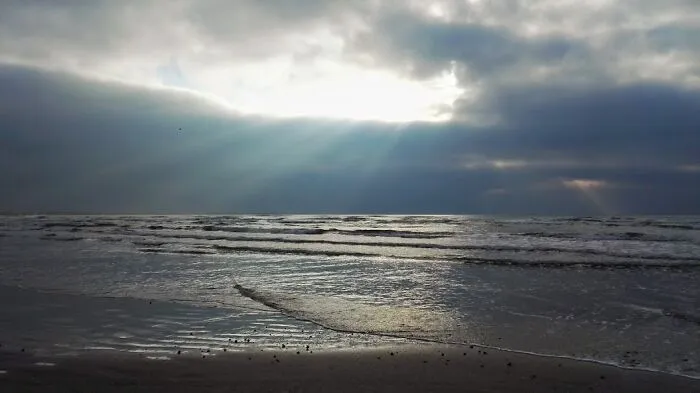 Let There Be Light