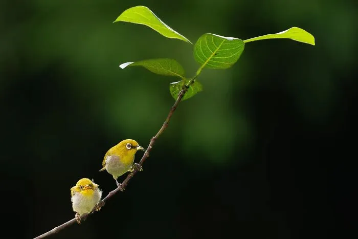 50 Remarkable Wildlife Photos By Kaushik That Capture Animals In Their Element