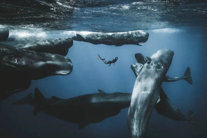 Adventure Photographer Of The Year, Finalist Romain Barats