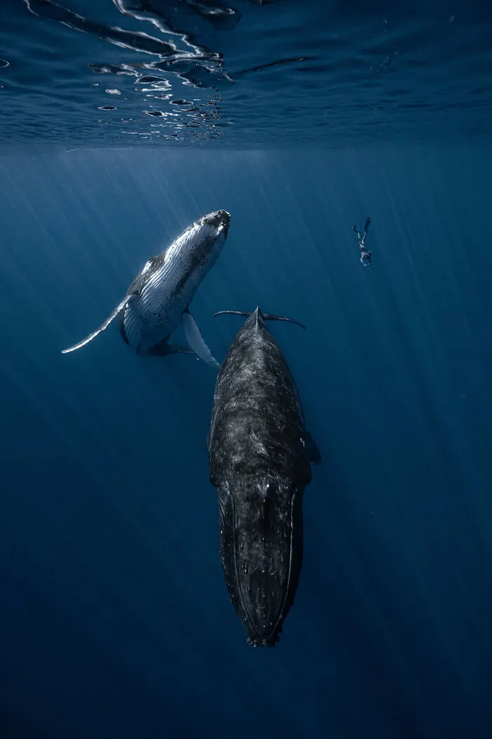 Adventure Photographer Of The Year, Finalist Álvaro Herrero