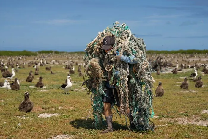 Conservation (Impact) Photographer Of The Year, Finalist Andrew Sullivan-Haskins