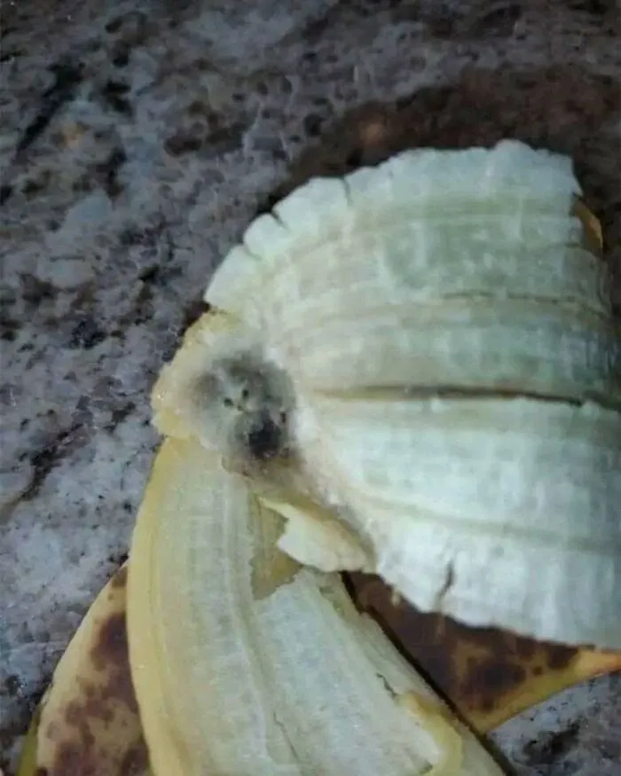 50 Funny Pareidolia Pics That Prove Even Random Objects Have Personality