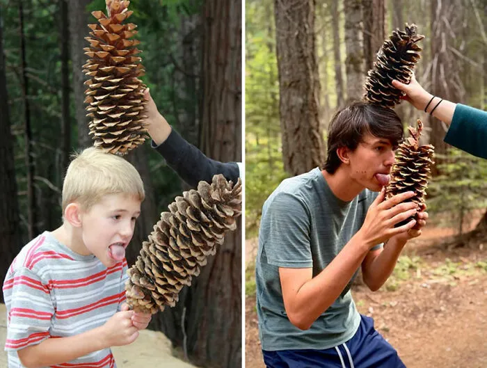 Still Likes Sugar Cones After All These Years