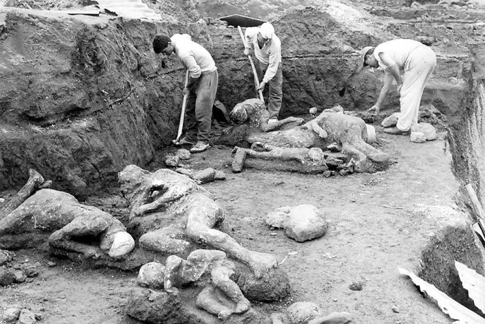 The Pompeii Excavations 