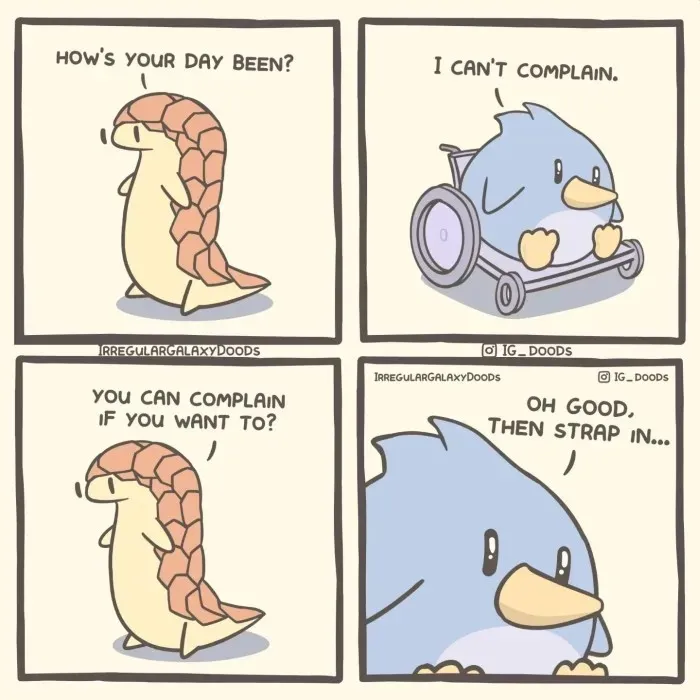 Strap In Buddy !