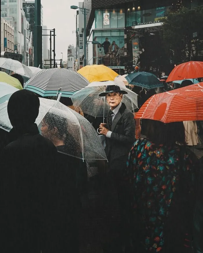 50 Street Photos That Prove Timing Is Everything, As Shared On This Instagram Page