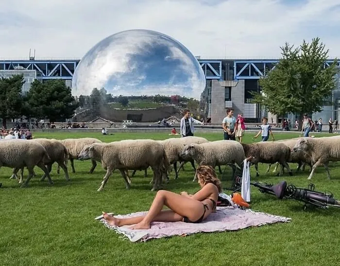 50 Street Photos That Prove Timing Is Everything, As Shared On This Instagram Page