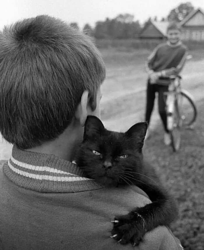 50 Street Photos That Prove Timing Is Everything, As Shared On This Instagram Page