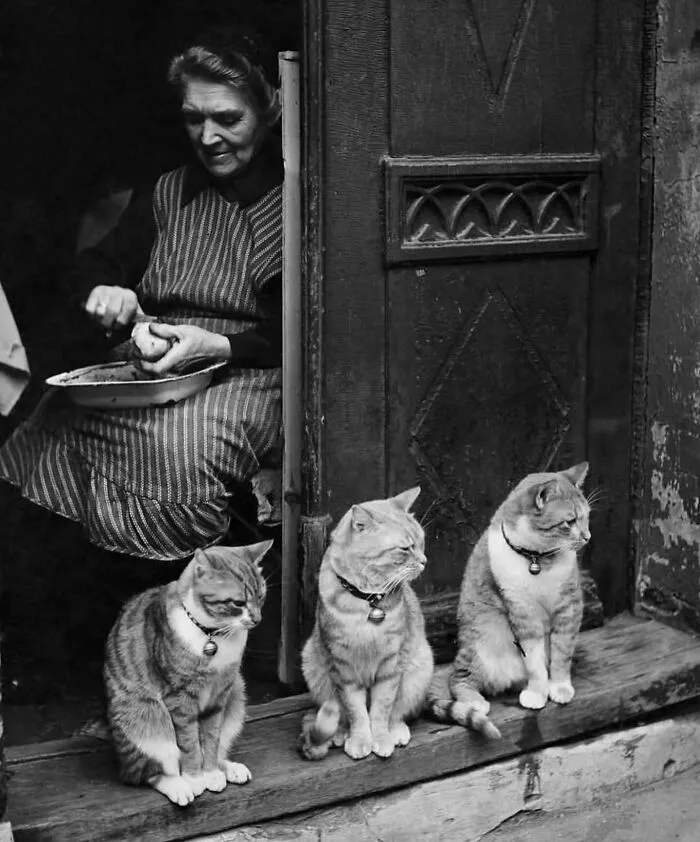 50 Street Photos That Prove Timing Is Everything, As Shared On This Instagram Page