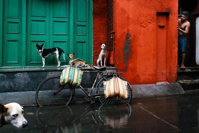 Third Prize, 2023: "Shelter From The Storm" By Jonathan Jasberg