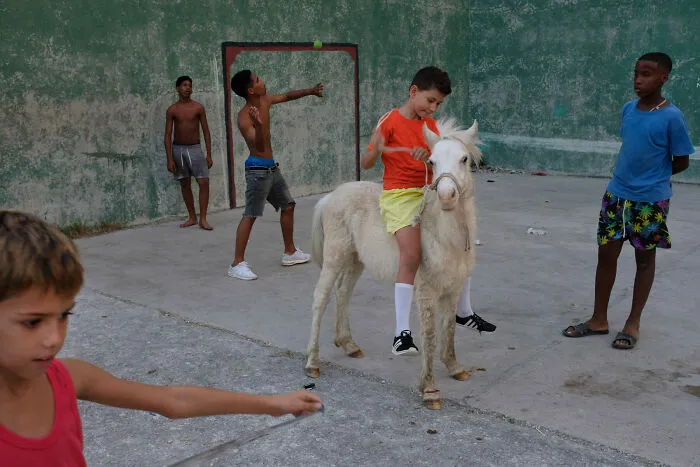 Finalist, 2024: "Havana" By Alexandru Ilea
