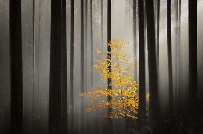 Photo By Martin Duffy