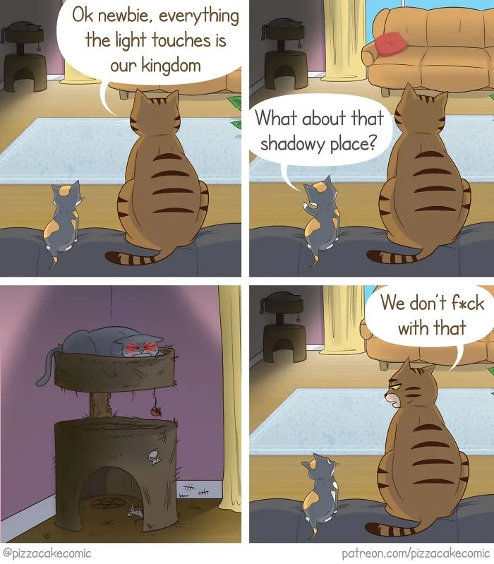 Two cats discuss territory and shadows in a funny comic about cats, life, and everyday chaos in a cozy living room.