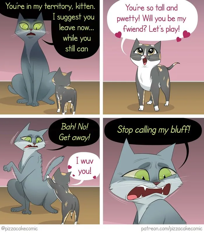 Funny comic panels showing two cats in a playful and chaotic interaction about territory and friendship.