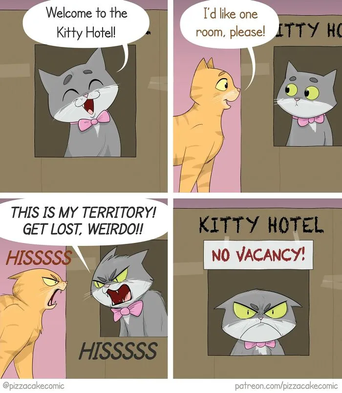 Funny comic of cats at a kitty hotel showing life and everyday chaos with humorous cat interactions and expressions.