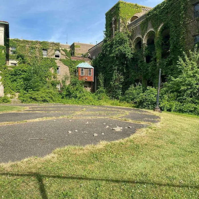 Overgrown abandoned building covered with ivy and surrounded by unkempt grass under blue sky.