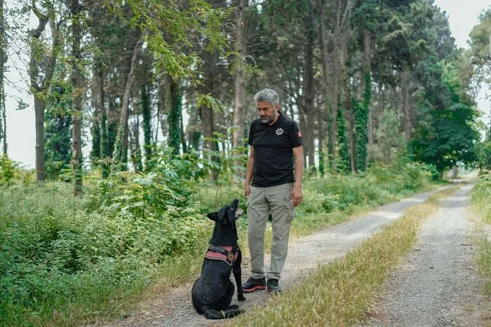 38 Dog Owners Share The Real Cons Of Having Them As Pets In This Online Thread
