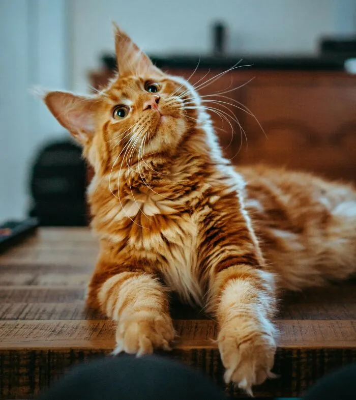 Tired Of Bad News? Here Are 42 Bits Of Good News That Deserve The Spotlight