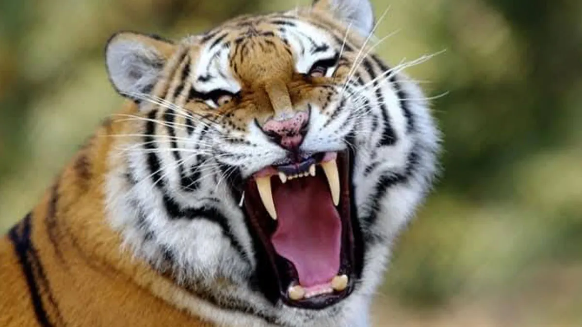 I Took 35 Stunning Wildlife Photos Just Two Kilometers From Home