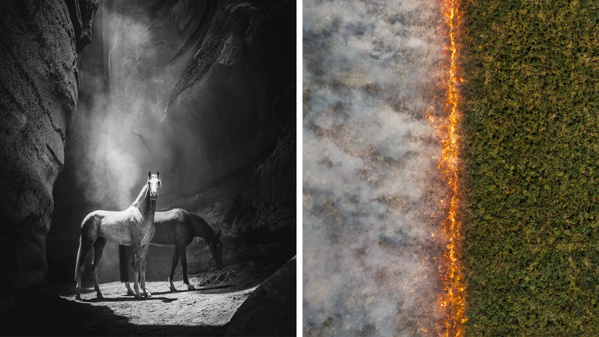 We Picked 74 Of The Best 2025 International Photography Awards Winners, And They’re Seriously Next-Level (74 Pics)