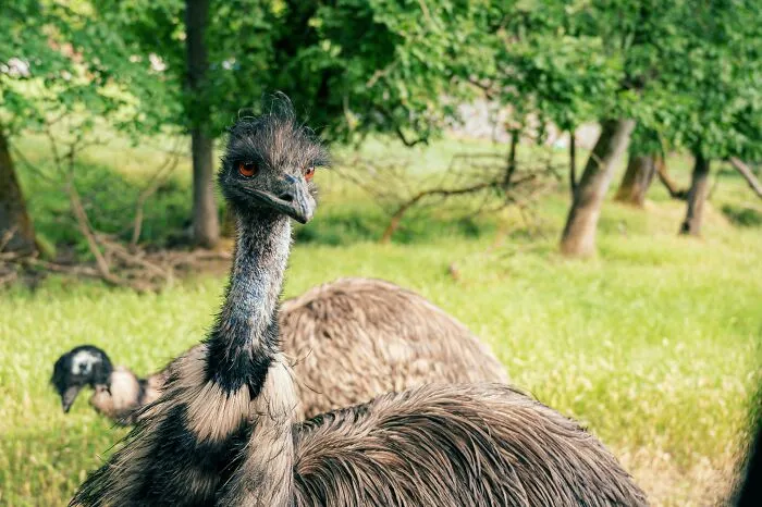 26 Of The World’s Biggest ‘Mess Around And Find Out’ Cases Shared By People Online
