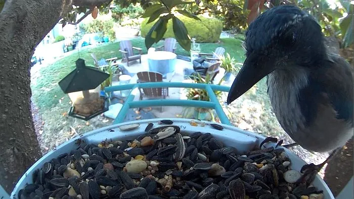 42 Guests Who Saw The Most Chaotic Items On Wedding Registries