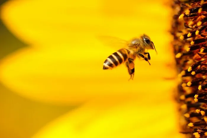 Tired Of Bad News? Here Are 42 Bits Of Good News That Deserve The Spotlight