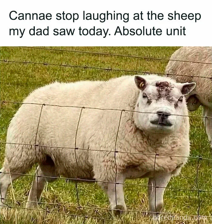 50 Funny Memes And Posts About The Brits That Show What A Unique Nation They Are