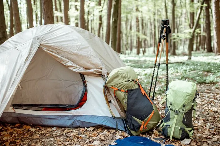 “Still Scares Me”: 47 People Who Couldn’t Sleep For Days After Spending Time In The Woods