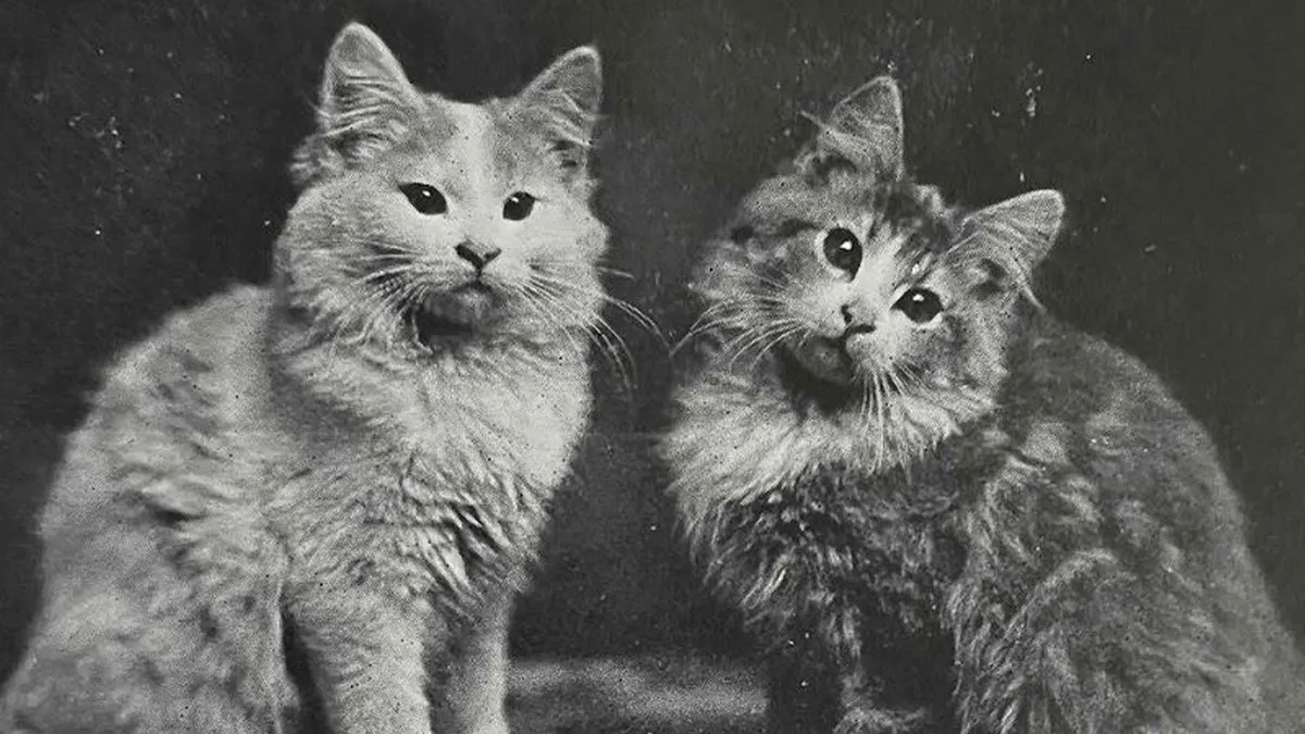 50 Adorable Cat Images From Throughout History That Prove They Were Always The Main Character