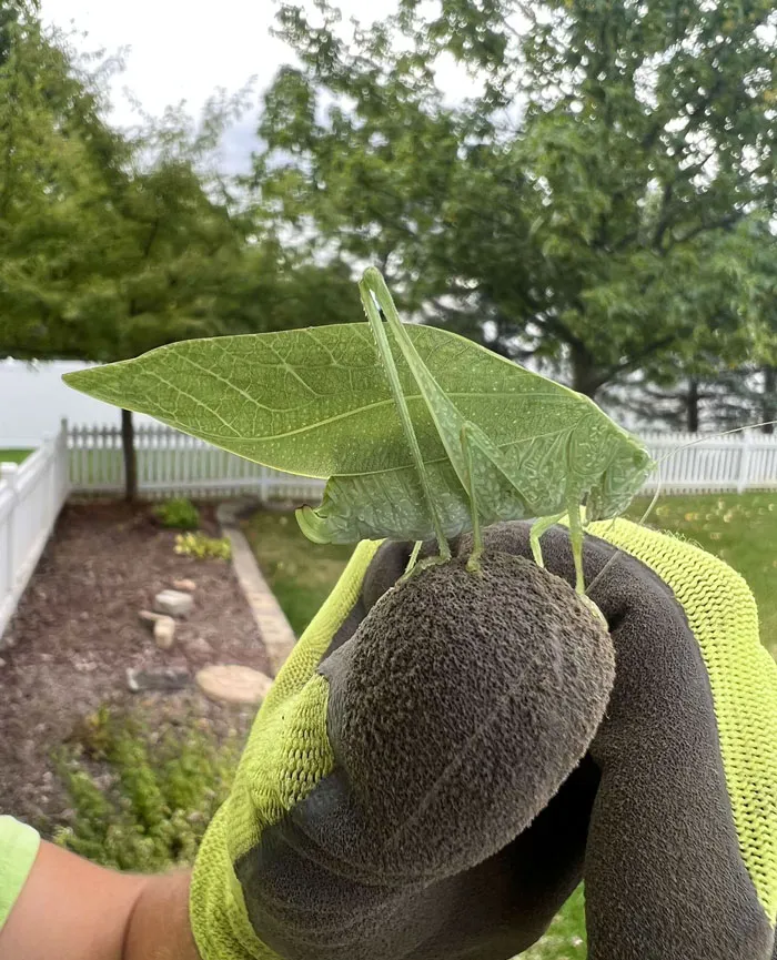 Handsome Guy On The Job Site