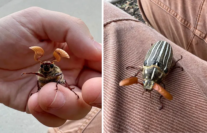 Made A New Friend Today