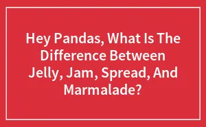 Hey Pandas, What Is The Difference Between Jelly, Jam, Spread, And Marmalade? (Closed)