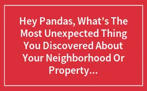 Hey Pandas, What’s The Most Unexpected Thing You Discovered About Your Neighborhood Or Property After Moving In?