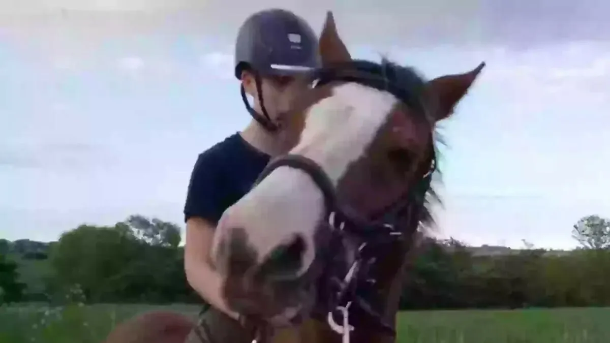 After Outrage, Woman Explains Why She Donated Her Daughter’s Pony To Zoo To Be Eaten By Lions